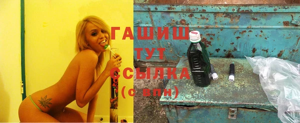 индика Заволжск